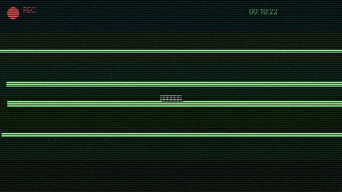 清晨公园散步 - 张津瑜吕知樾视频720P 日常记录